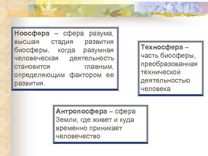 Ноосфера – сфера разума, высшая стадия развития биосферы, когда разумная человеческая деятельность становится главным,