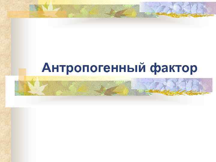 Антропогенный фактор 