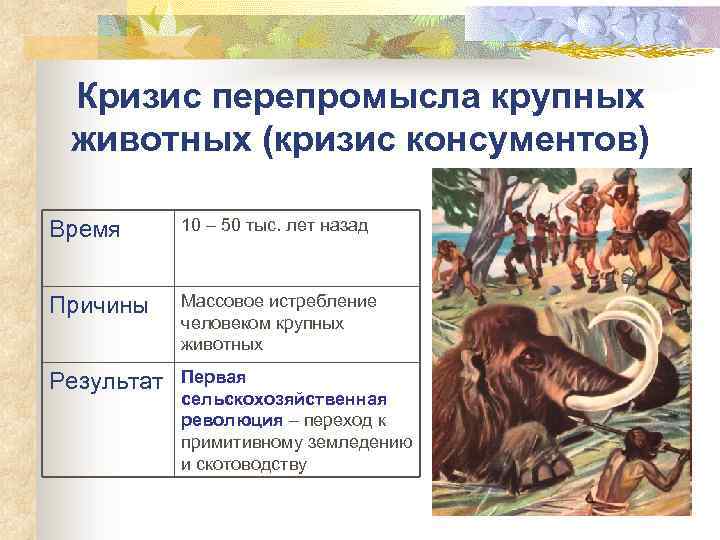Кризис перепромысла крупных животных (кризис консументов) Время 10 – 50 тыс. лет назад Причины