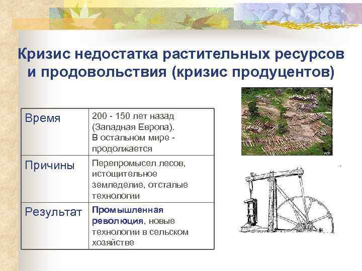 Кризис недостатка растительных ресурсов и продовольствия (кризис продуцентов) Время 200 150 лет назад (Западная