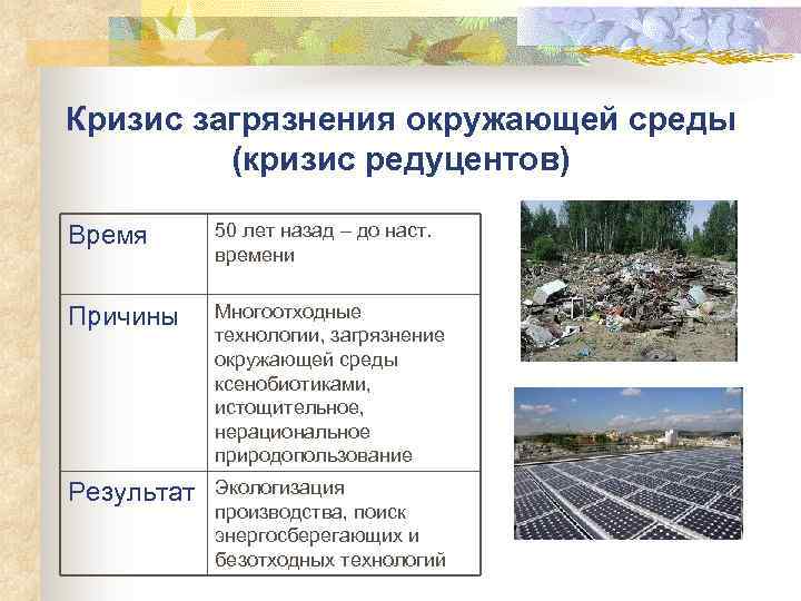 Кризис загрязнения окружающей среды (кризис редуцентов) Время 50 лет назад – до наст. времени