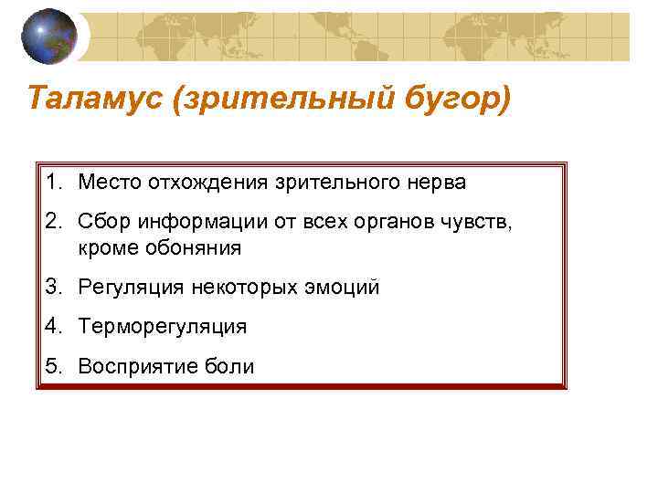 Таламус (зрительный бугор) 1. Место отхождения зрительного нерва 2. Сбор информации от всех органов