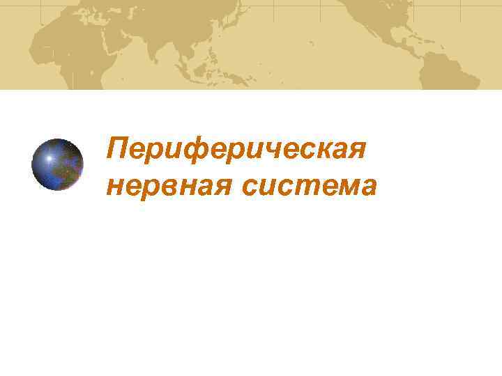 Периферическая нервная система 