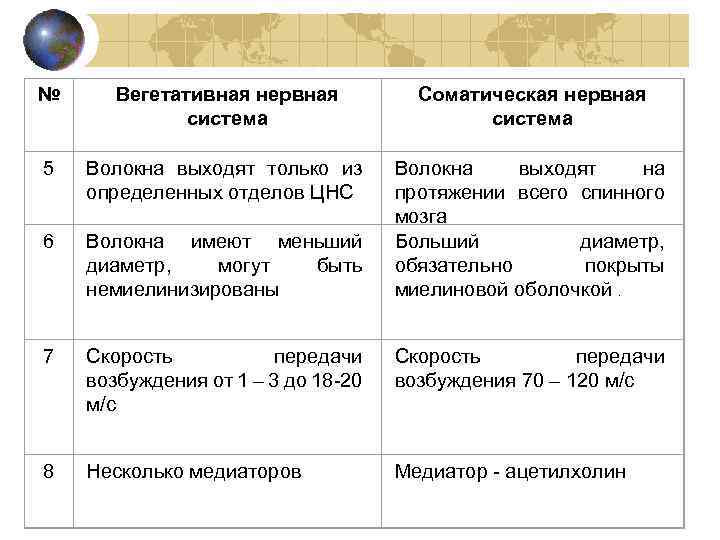 № Вегетативная нервная система Соматическая нервная система 5 Волокна выходят только из определенных отделов