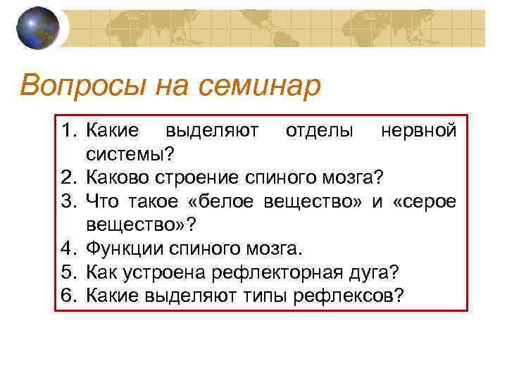 Вопросы на семинар 1. Какие выделяют отделы нервной системы? 2. Каково строение спиного мозга?