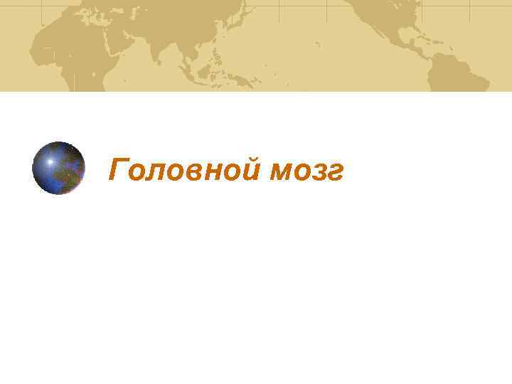 Головной мозг 