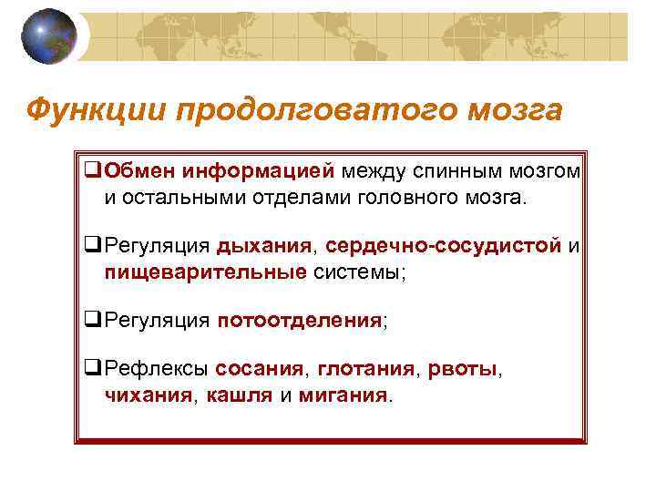 Функции продолговатого мозга q. Обмен информацией между спинным мозгом и остальными отделами головного мозга.