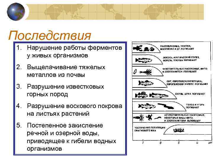 Последствия 1. Нарушение работы ферментов у живых организмов 2. Выщелачивание тяжелых металлов из почвы