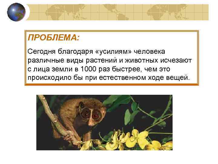 ПРОБЛЕМА: Сегодня благодаря «усилиям» человека различные виды растений и животных исчезают с лица земли