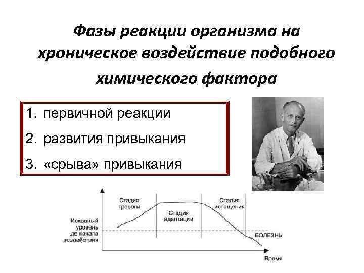 Фазы реакции организма на хроническое воздействие подобного химического фактора 1. первичной реакции 2. развития