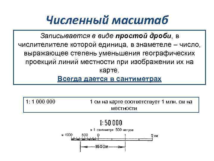 Численный именованный и линейный масштабы показывают