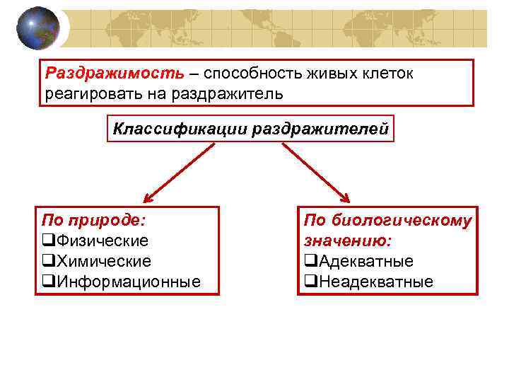 Раздражимость – способность живых клеток реагировать на раздражитель Классификации раздражителей По природе: q. Физические