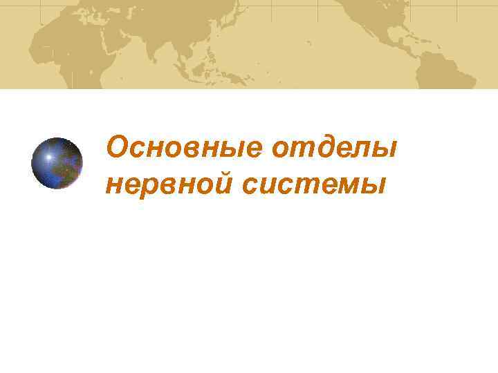 Основные отделы нервной системы 