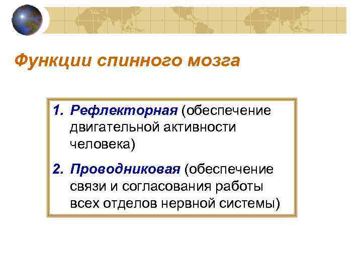 Функции спинного мозга 1. Рефлекторная (обеспечение двигательной активности человека) 2. Проводниковая (обеспечение связи и