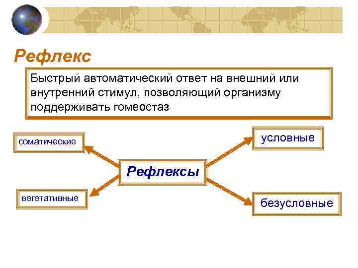 Рефлекс Быстрый автоматический ответ на внешний или внутренний стимул, позволяющий организму поддерживать гомеостаз условные