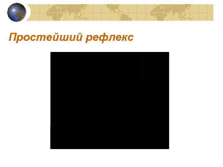 Простейший рефлекс 