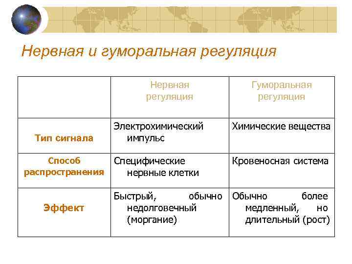 Нервная и гуморальная регуляция Нервная регуляция Гуморальная регуляция Химические вещества Тип сигнала Электрохимический импульс