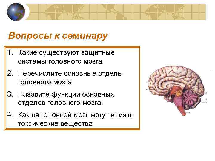 Вопросы к семинару 1. Какие существуют защитные системы головного мозга 2. Перечислите основные отделы