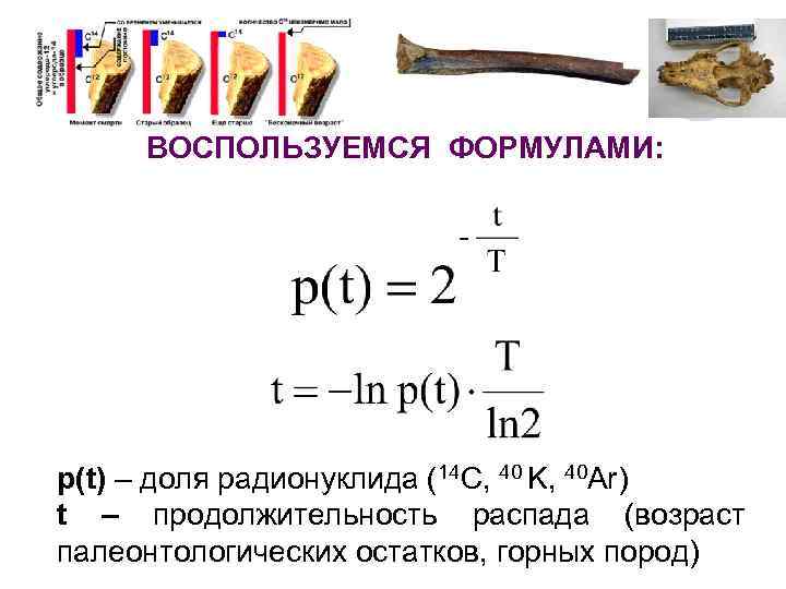 ВОСПОЛЬЗУЕМСЯ ФОРМУЛАМИ: p(t) – доля радионуклида (14 C, 40 K, 40 Ar) t –