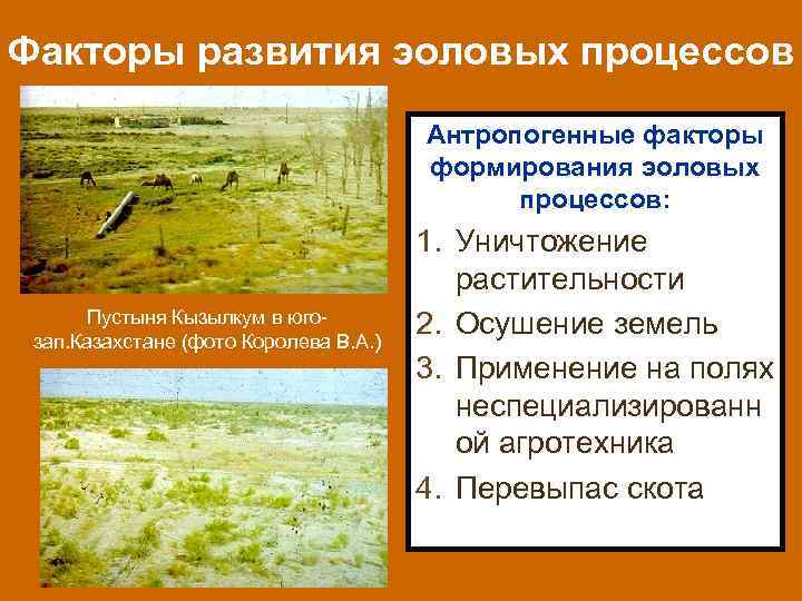 Факторы развития эоловых процессов Антропогенные факторы формирования эоловых процессов: Пустыня Кызылкум в югозап. Казахстане