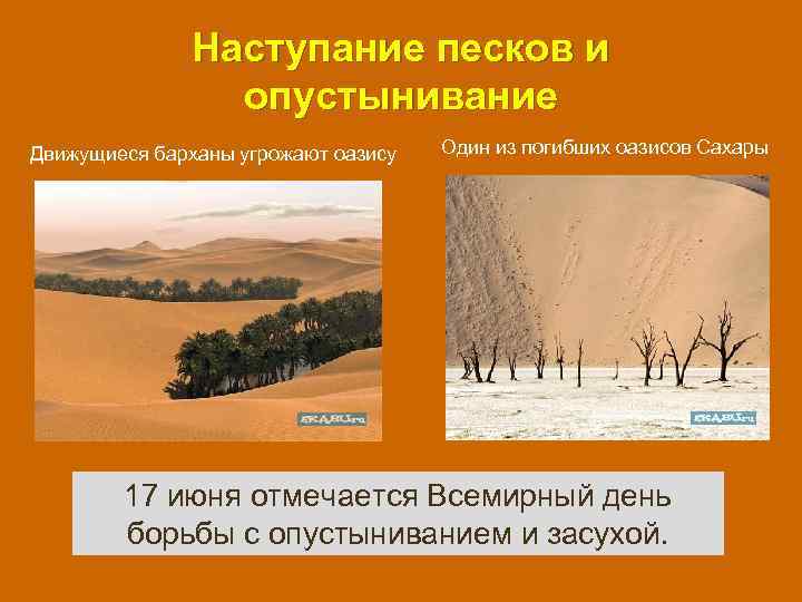 Наступание песков и опустынивание Движущиеся барханы угрожают оазису Один из погибших оазисов Сахары 17