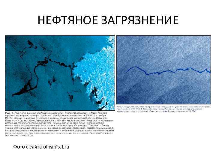НЕФТЯНОЕ ЗАГРЯЗНЕНИЕ Фото с сайта oilcapital. ru 