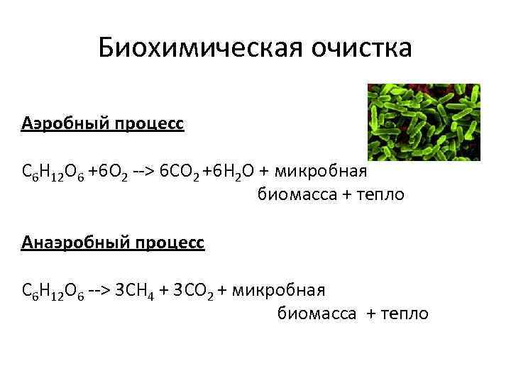 Биохимическая очистка Аэробный процесс С 6 Н 12 О 6 +6 О 2 -->
