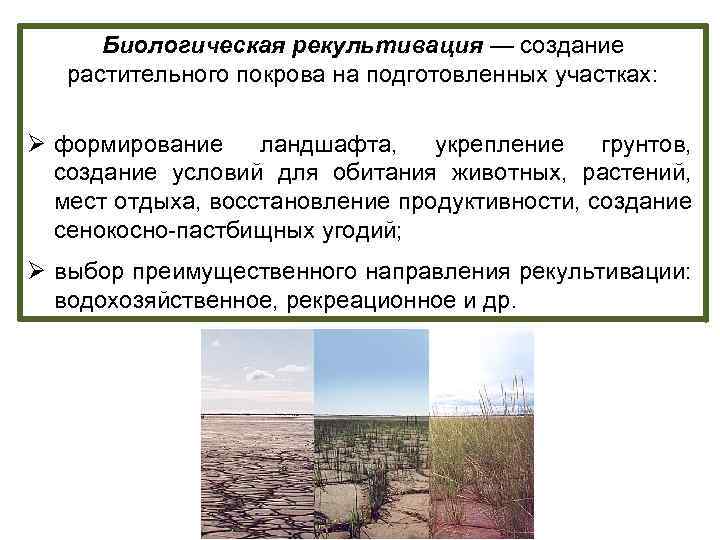 Биологическая рекультивация — создание растительного покрова на подготовленных участках: Ø формирование ландшафта, укрепление грунтов,