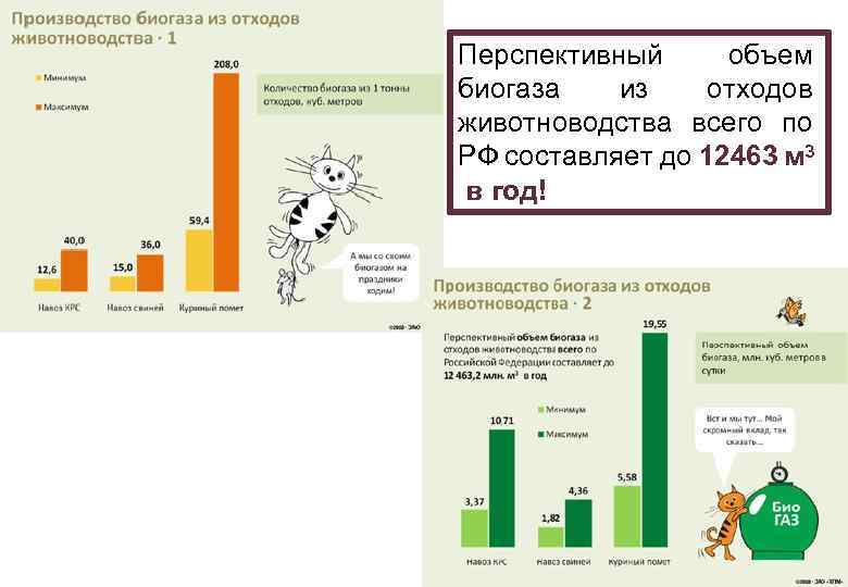 Перспективный объем биогаза из отходов животноводства всего по РФ составляет до 12463 м 3