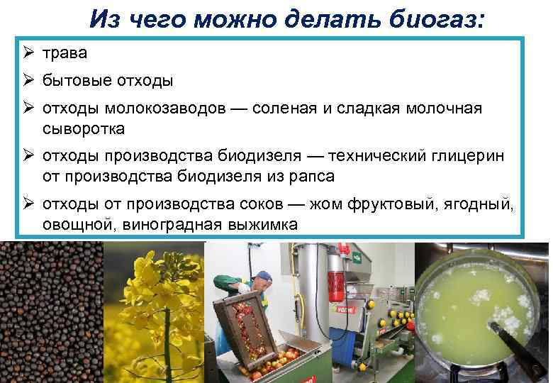 Из чего можно делать биогаз: Ø трава Ø бытовые отходы Ø отходы молокозаводов —