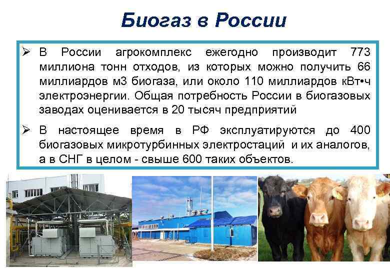 Биогаз в России Ø В России агрокомплекс ежегодно производит 773 миллиона тонн отходов, из