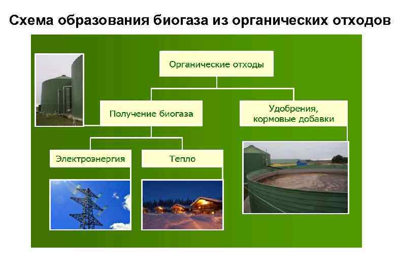 Схема образования биогаза из органических отходов 