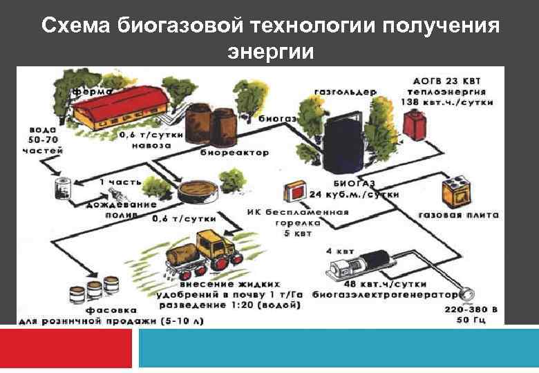 Схема биогазовой технологии получения энергии 