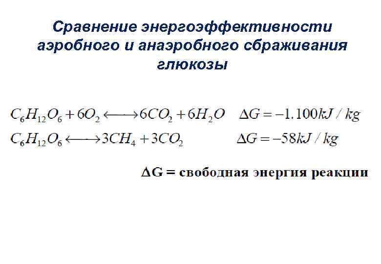 Сравнение энергоэффективности аэробного и анаэробного сбраживания глюкозы 