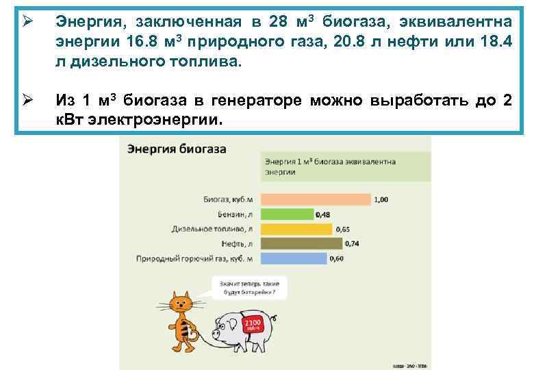 Ø Энергия, заключенная в 28 м 3 биогаза, эквивалентна энергии 16. 8 м 3