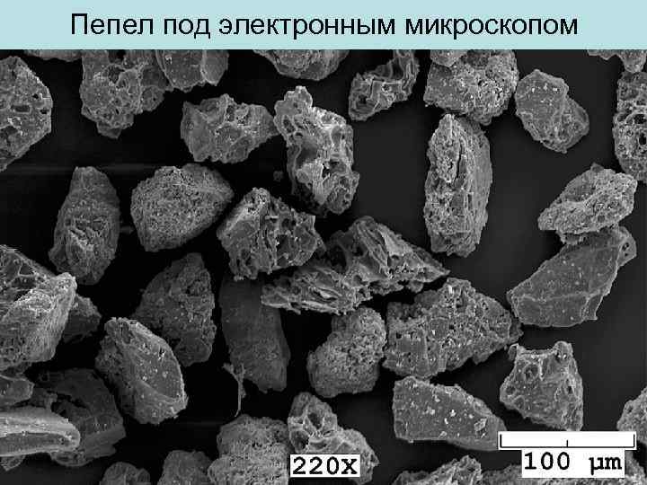 Пепел под электронным микроcкопом 