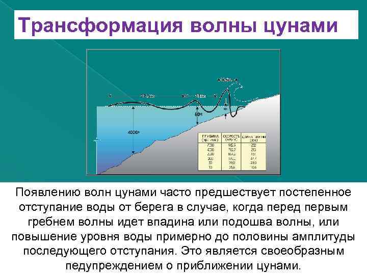 Трансформация волны цунами Появлению волн цунами часто предшествует постепенное отступание воды от берега в