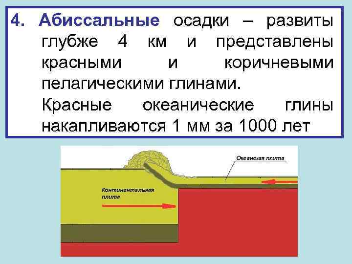 4. Абиссальные осадки – развиты глубже 4 км и представлены красными и коричневыми пелагическими