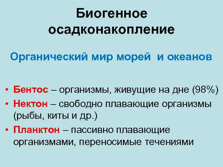 Биогенное осадконакопление Органический мир морей и океанов • Бентос – организмы, живущие на дне