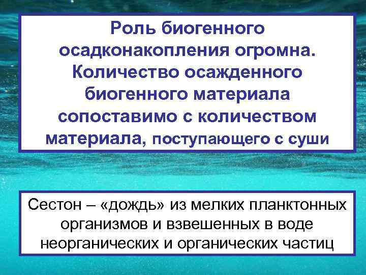 Роль биогенного осадконакопления огромна. Количество осажденного биогенного материала сопоставимо с количеством материала, поступающего с