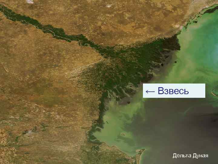 ← Взвесь Дельта Дуная 