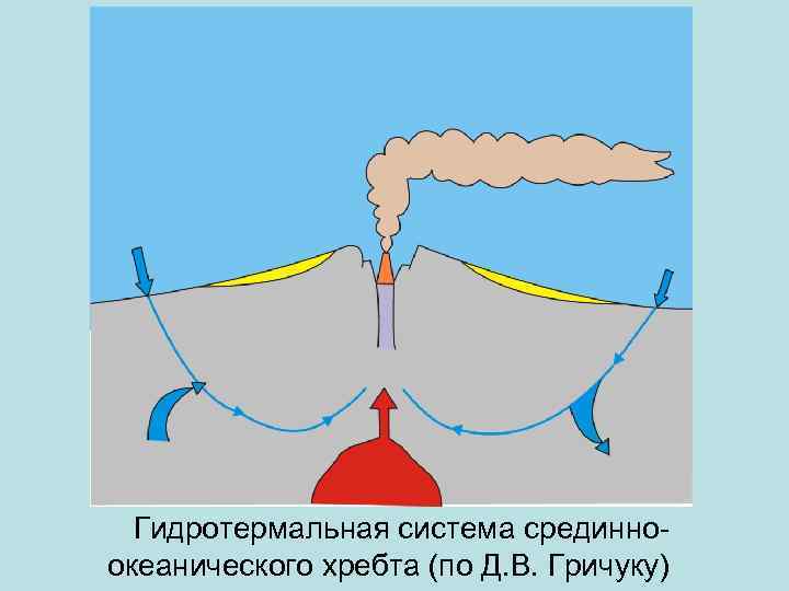 Гидротермальная система срединноокеанического хребта (по Д. В. Гричуку) 