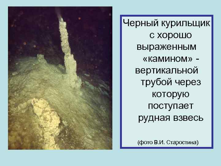 Черный курильщик с хорошо выраженным «камином» вертикальной трубой через которую поступает рудная взвесь (фото