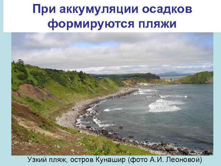 При аккумуляции осадков формируются пляжи Узкий пляж, остров Кунашир (фото А. И. Леоновой) 
