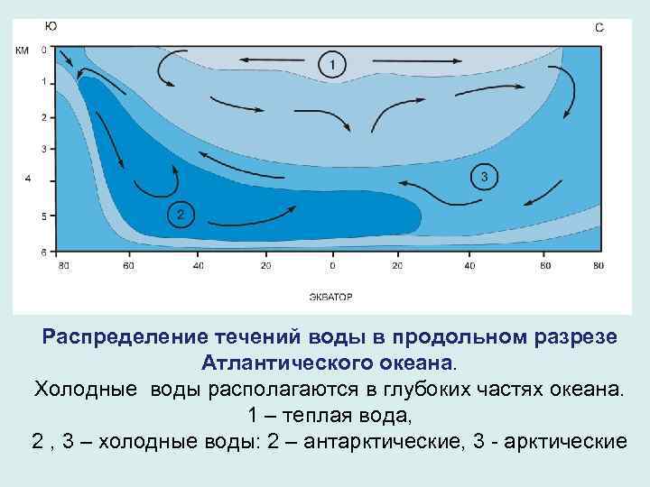 Распределение течений воды в продольном разрезе Атлантического океана. Холодные воды располагаются в глубоких частях
