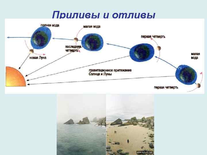 Приливы и отливы 
