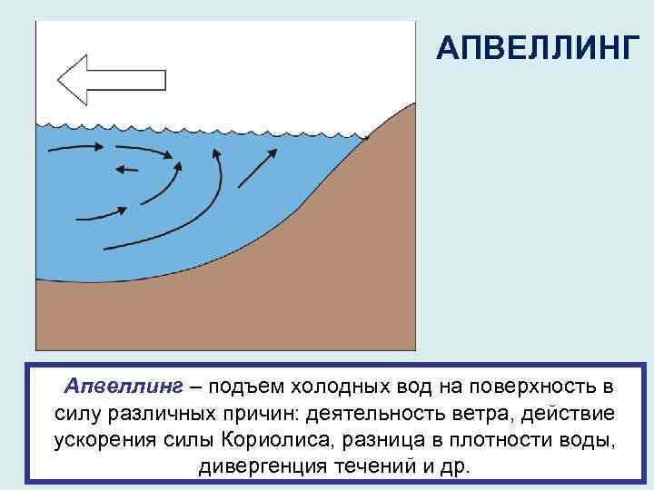 АПВЕЛЛИНГ Апвеллинг – подъем холодных вод на поверхность в силу различных причин: деятельность ветра,