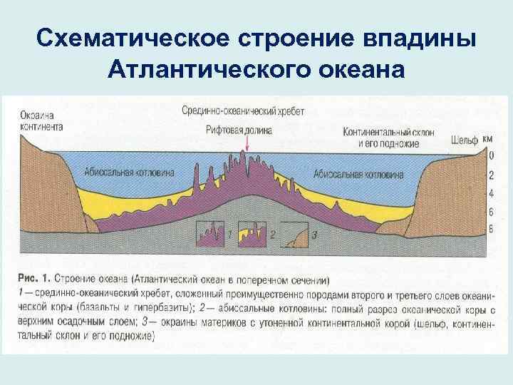Схематическое строение впадины Атлантического океана 