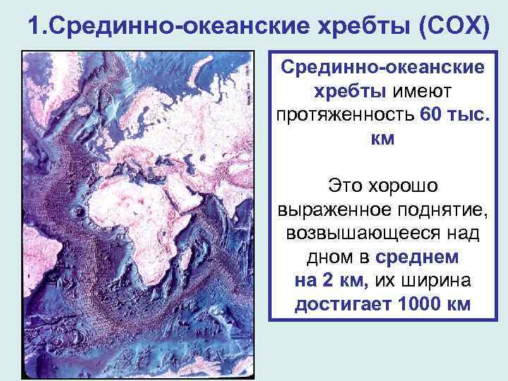 1. Срединно-океанские хребты (СОХ) Срединно-океанские хребты имеют протяженность 60 тыс. км Это хорошо выраженное