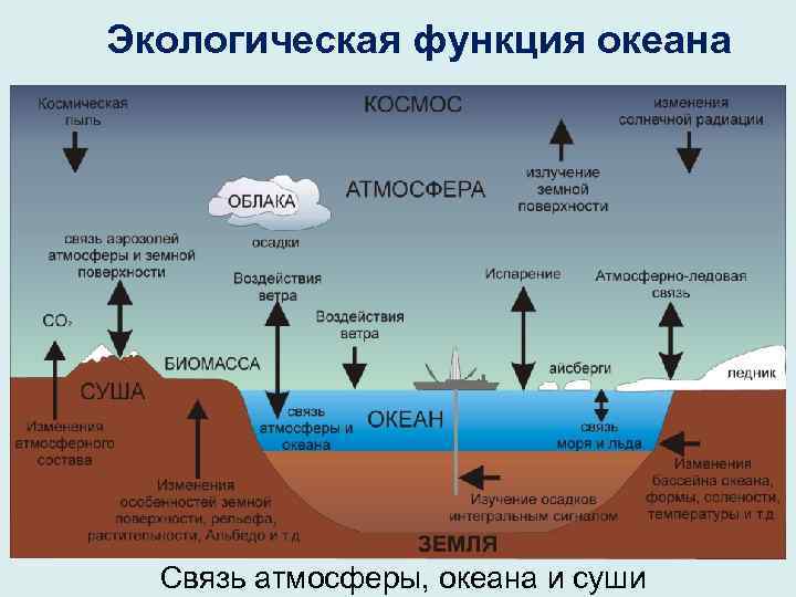 Экологическая функция океана Связь атмосферы, океана и суши 
